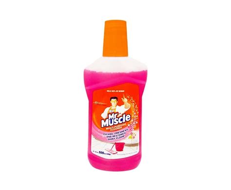 Mr Muscle Multi Purpose Cleaner Floral Perfection 500ml 500g