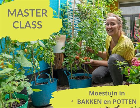 Masterclass Moestuin In Bakken En Potten Easy Checkout Tuinschool