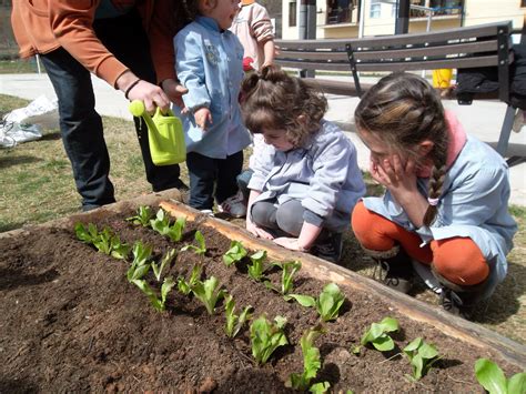 Resultado De Imagen De Actividades Huerto Escolar Infantil Plants Garden