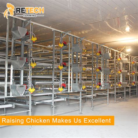 H Type Chicken Battery Broiler Cage Breeder Cage System China Chicken