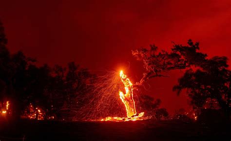 Photos Dozens Of Wildfires Burn Across California Artofit