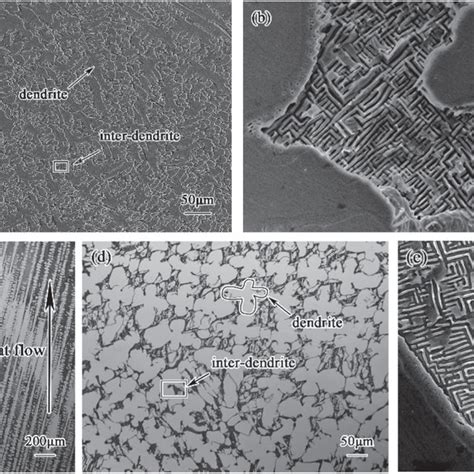 Microstructures Of Al Cocrfeni Hea Prepared By Arc Melting And