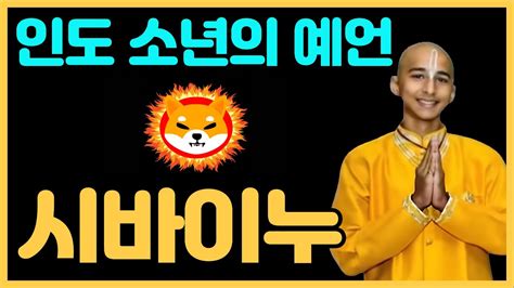 시바이누 코인 인도 소년의 예언 앞으로 이렇게 흘러간다 YouTube