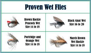 The Magic of Wet Flies (Fly Fishing Guide) - Guide Recommended