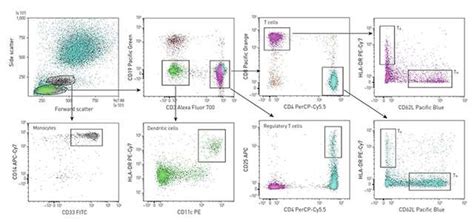 Flow Cytometry Experiment Process—spectral Versus Conventional Thermo