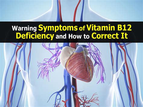 Warning Symptoms Of Vitamin B12 Deficiency And How To Correct It