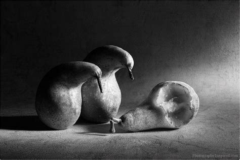 100 Examples Of Still Life Photography Still Life Photography Still Life Pictures Still Life