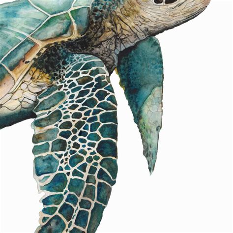 Turtle Wall Art | Prints, Framed Prints And Multi Panel Art