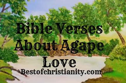 Bible Verses About Agape Love