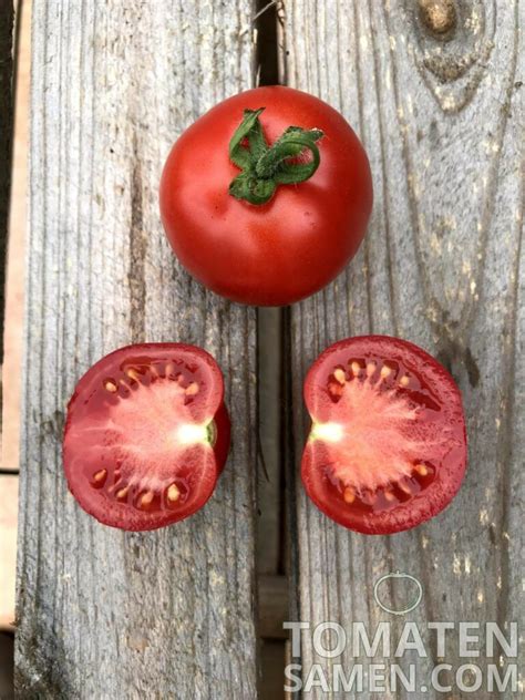 Tomatensamen Tomate Kremser Perle Samen Saatgut Kaufen