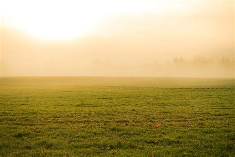 foggy meadow landscape Free Photo Download | FreeImages