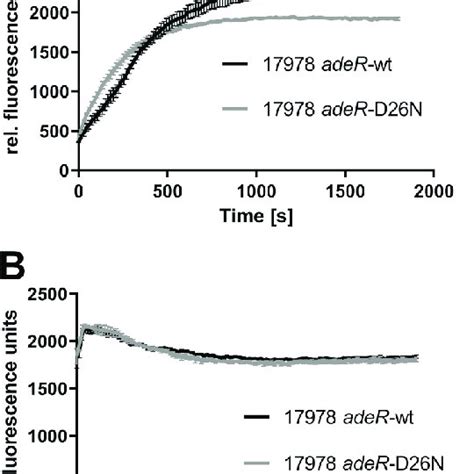 Ethidium Bromide Etbr Accumulation In Atcc Daders Transformants