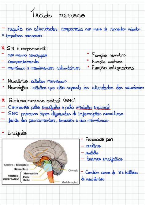 SOLUTION Resumo Tecido Nervoso Studypool