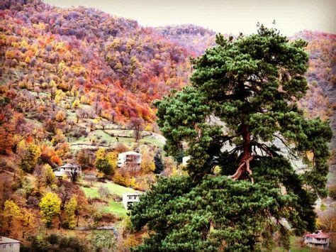 14 Autumn in Dilijan ideas | autumn, country roads, caucasus mountains