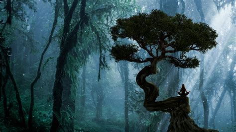 Healing Guided Imagery Wespark