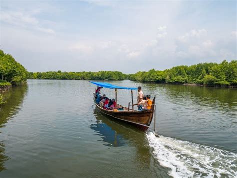 Boat on mangrove tour editorial photo. Image of geoforest - 27779451