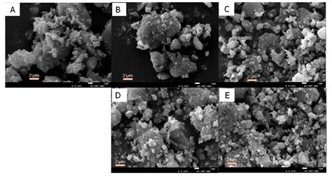 Catalysts Free Full Text Immobilization Of Lipases On Modified