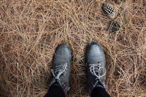 How to Remove Dead Grass From Your Lawn