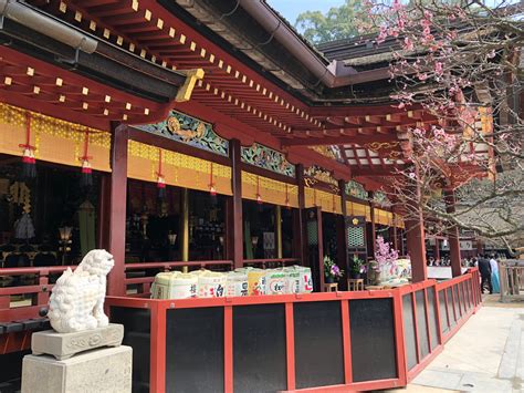 Dazaifu Tenmangu Shrine - Tourist in Japan