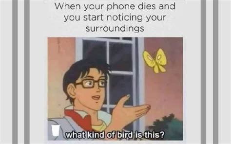 9 Hilarious Mobile Phone Memes That You Will Make You Cry Instacash