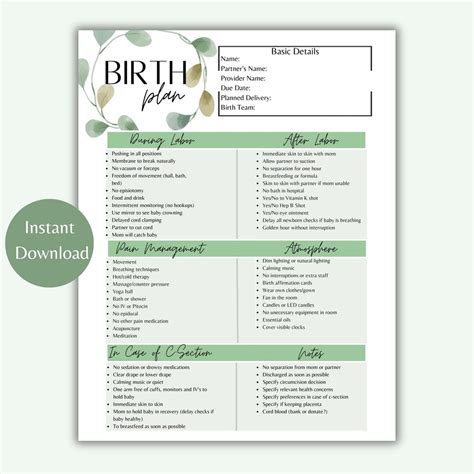 Editable Birth Plan Template Birth Preferences Printable Birth Plan