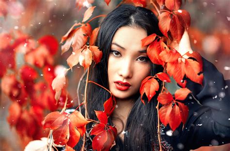 Asian Model Leaves Women Red Leaves Alessandro Di Cicco Hd