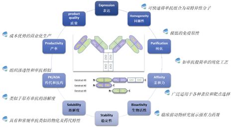 中国双抗平台巡礼 岸迈生物篇临床