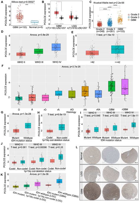 Predictive Value Of Procollagen C Protease Enhancer Protein On The