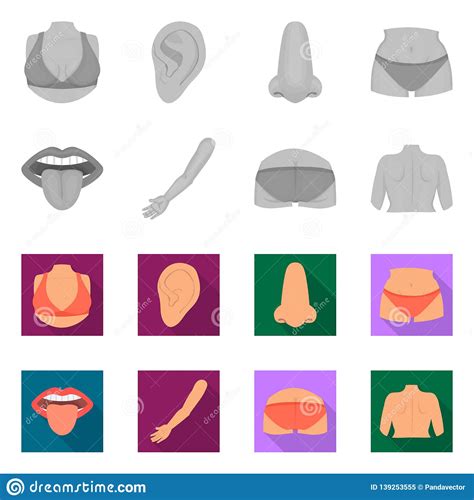 Vector Design Of Body And Part Icon Collection Of Body And Anatomy