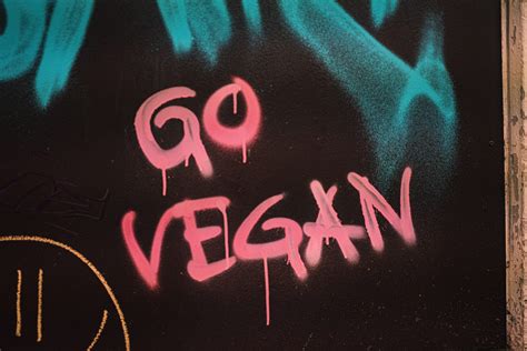 Dia Mundial Do Veganismo O Que Voc Precisa Saber Sobre Esse Estilo De