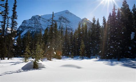 9 Reasons Why You'll Love Winter in Banff National Park | Banff & Lake ...