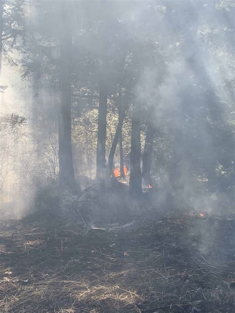 Orcas Lopez And San Juan Fire Team Up With Dnr For Wildfire Orcas