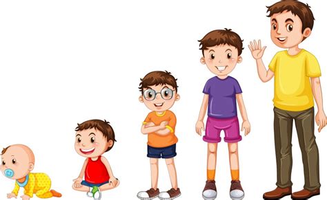 Human growth ages cartoon people old adult Vector Image