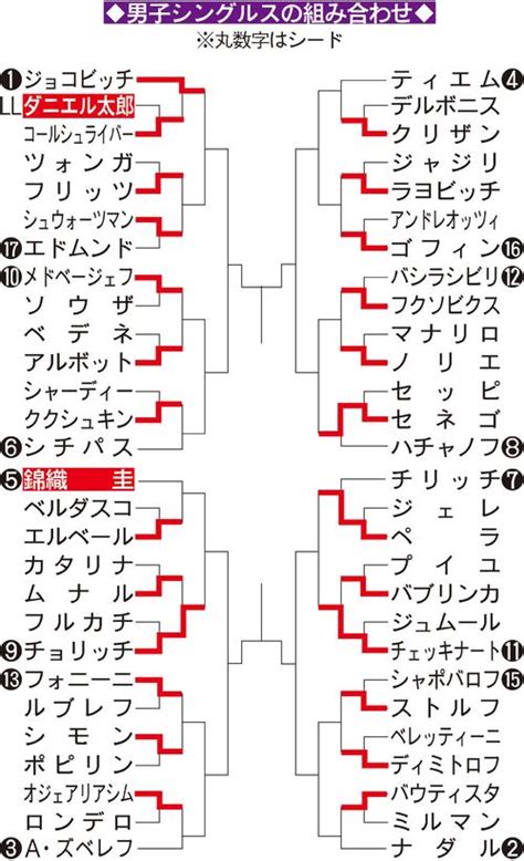 錦織、2回戦はエルベール 17日午後6時開始予定 テニス 日刊スポーツ