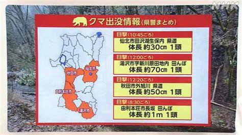 クマの出没情報 6日は県内で4件の目撃情報｜nhk 秋田県のニュース