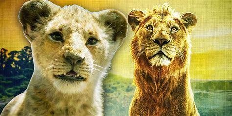 Mufasa The Lion King Soundtrack Guide Every Song And When They Play