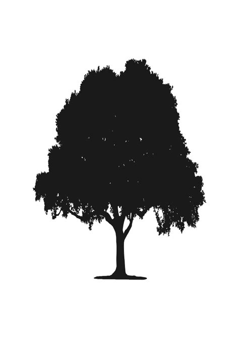 Tree Silhouette Svg Files