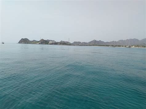 Nemo Diving Center Fujairah Dibba Al Fujairah All You Need To