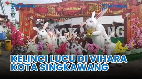 Melihat Kelinci Lucu Di Vihara Tri Dharma Bumi Raya Singkawang Beri