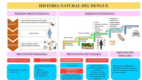 Historia Natural Del Dengue Historia Natural Del Dengue Antes De La