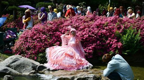 Dokomi Düsseldorf 2025 Größte Messe für Anime Fans Tickets Programm