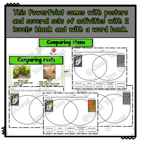 First Grade Science Bundle | Made By Teachers