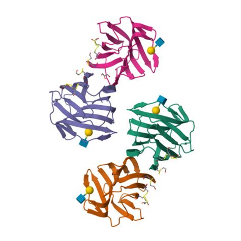 Gene P Protein Lgals Overview Cansar Ai