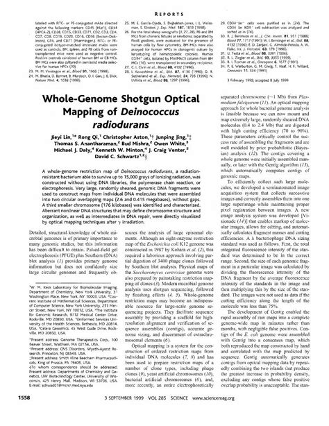 PDF Whole Genome Shotgun Optical Mapping Of Deinococcus Radiodurans