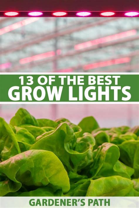 13 Of The Best Grow Lights For Indoor Gardens Gardener’s Path