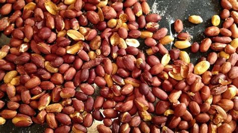 Basic Oven Roasted Peanuts Recipe