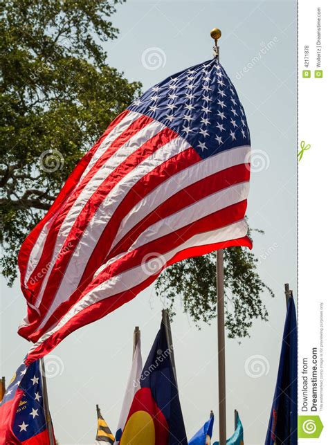 Bandeira Dos E U Que Funde No Vento Foto De Stock Imagem De Tributo