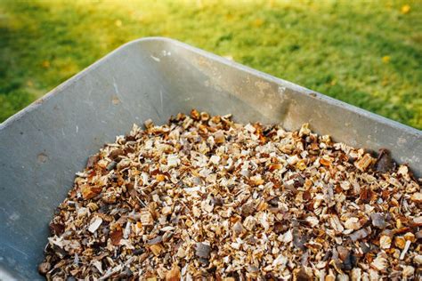 Wheelbarrow Full Of Wooden Mulch Stock Photo Image Of Green Grinded