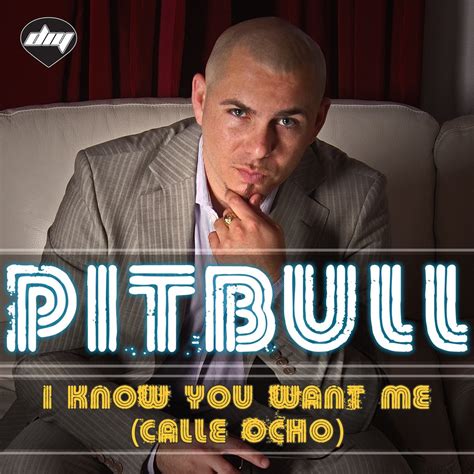 I Know You Want Me Calle Ocho EP Album By Pitbull Apple Music