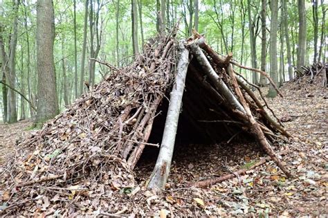 Construindo um abrigo de emergência Bushcraft Singola Cutelaria